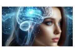 Learn the Success Secrets of the Elit